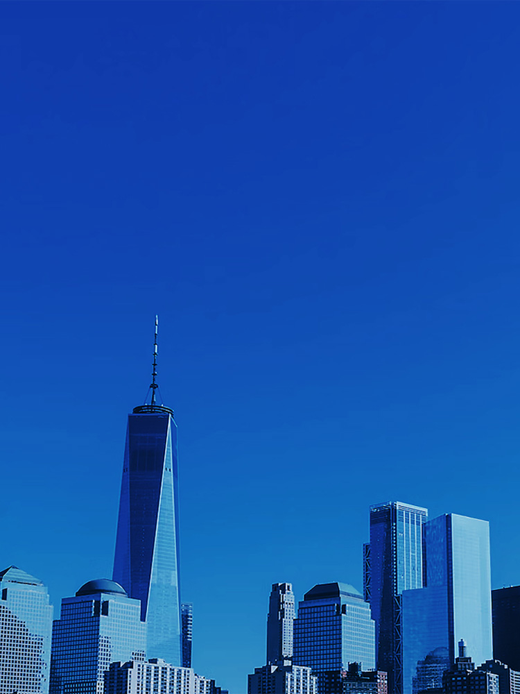 中國誠通國際貿(mào)易有限公司簡介